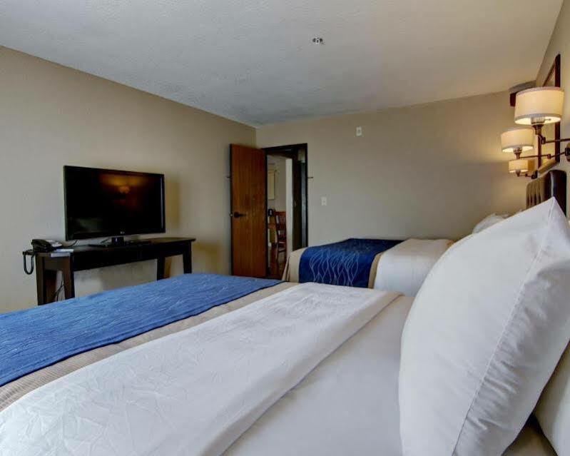 Hotel Comfort & 3*
